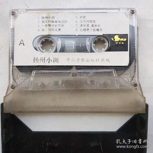 影像唱機、通訊音像制品與音像制品制作 收藏雜項的多元魅力